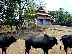 Vadakumnathan Temple South Gate