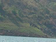 idukki18033.jpg