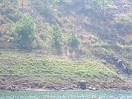 idukki18036.jpg